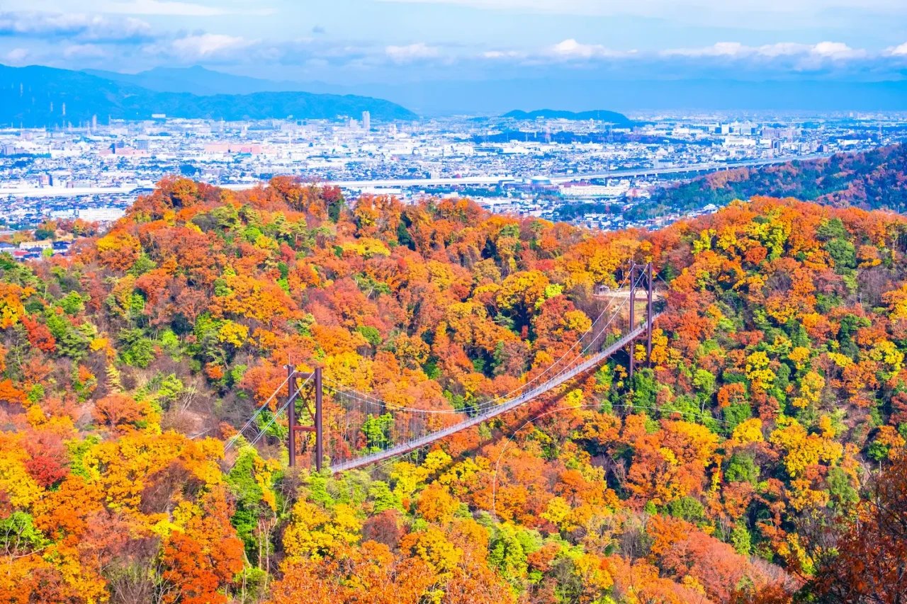 🌳 부민의 숲 호시다 공원(후민노모리 호시다엔치) 이미지 1